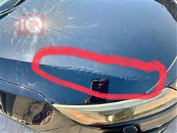 کیا ئۆپتیما